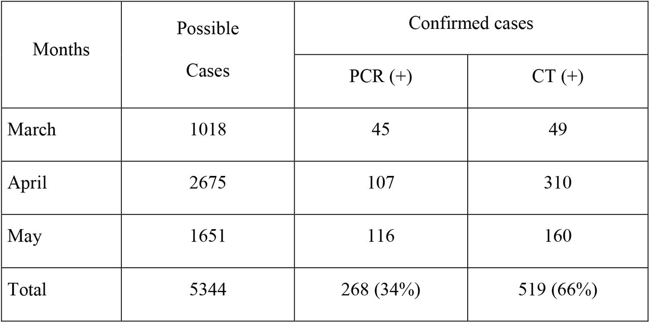 Distribution of Possible and Confirmed COVID-19 Cases by Months (N: 787)