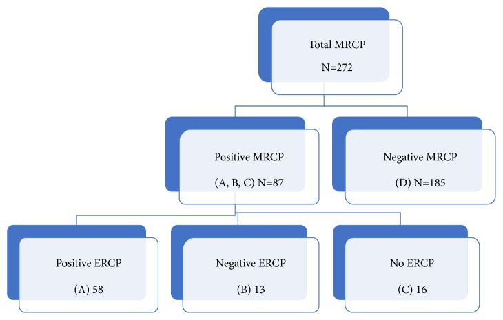 Flow chart of the study cohort.