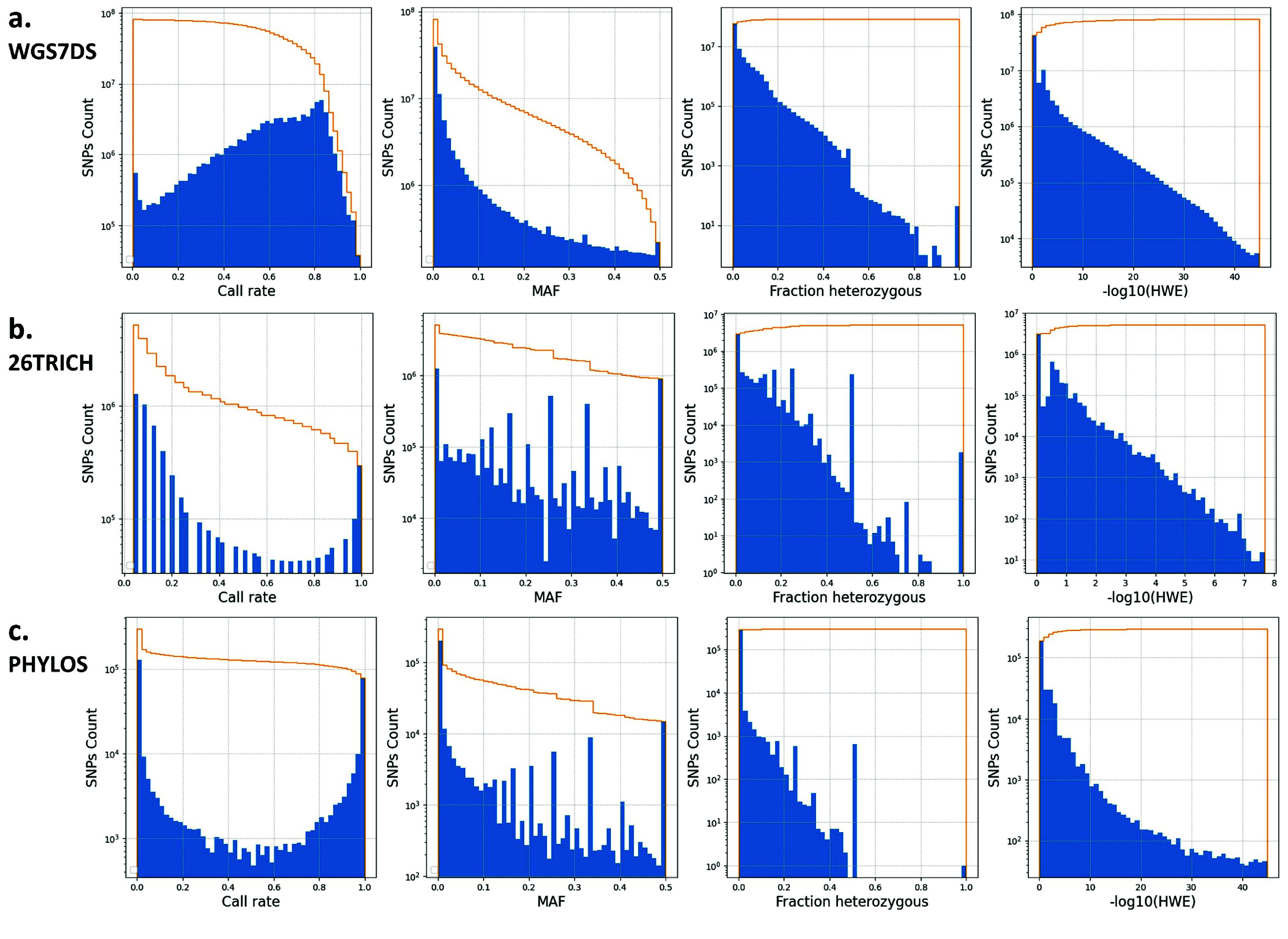 Distribution of SNP attributes for (a) WGS7DS, (b) 26TRICH, and (c) PHYLOS dataset using cs10 reference. SNP count distribution (blue) of SNP properties including (left to right) Call rate, MAF, Fraction heterozygous, and -log(HWE). The line (yellow) is the cumulative count when filtering from the most relaxed (maximum, no filter) to the most conservative (minimum) for quality control. The properties were counted on the vcf file using bcftools +fill-tags, and the histogram was plotted using Python matplotlib.