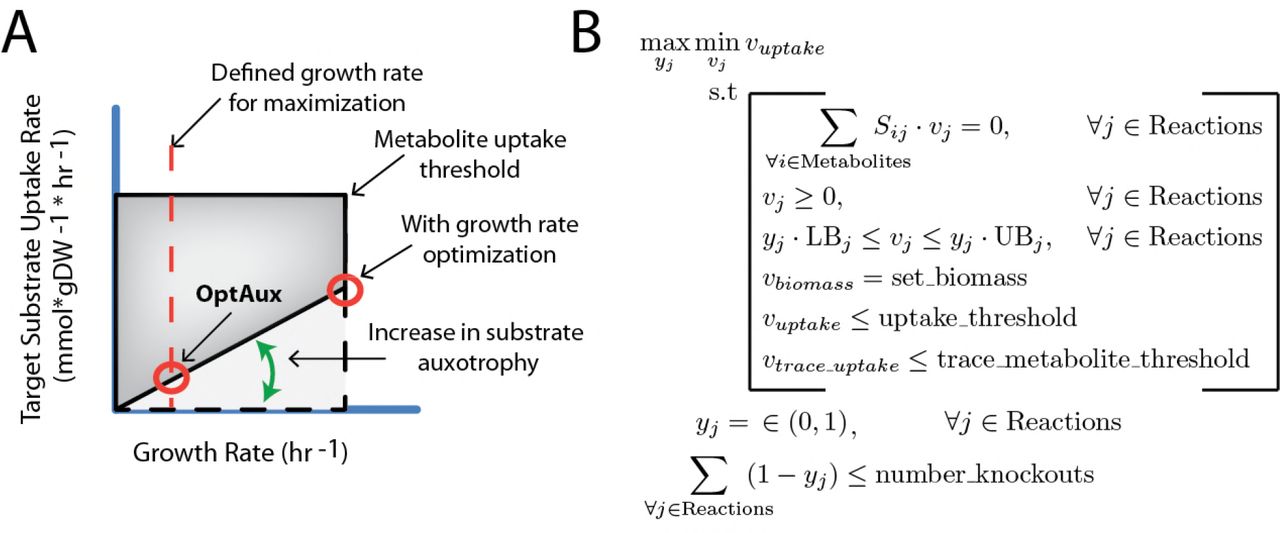 OptAux DesignA: OptAux was developed to maximize the minimum uptake of a target metabolite. Unlike algorithms such as OptKnock with tilting [21] and RobustKnock [22], this optimization occurs at a predetermined growth rate as opposed to using an inner optimization of growth rate (depicted with the red circles). This is to ensure that all OptAux designs will be auxotrophic for the target metabolite at all growth rates, particularly low growth rates. The dotted lines show the required uptake for the metabolite with no genetic interventions. In this case, uptake of the target metabolite is not required at any growth rate. The solid black lines depict the maximum and minimum uptake required for a particular metabolite of an OptAux designed strain. B: The OptAux optimization problem. For further description of the algorithm and underlying logic see Methods.