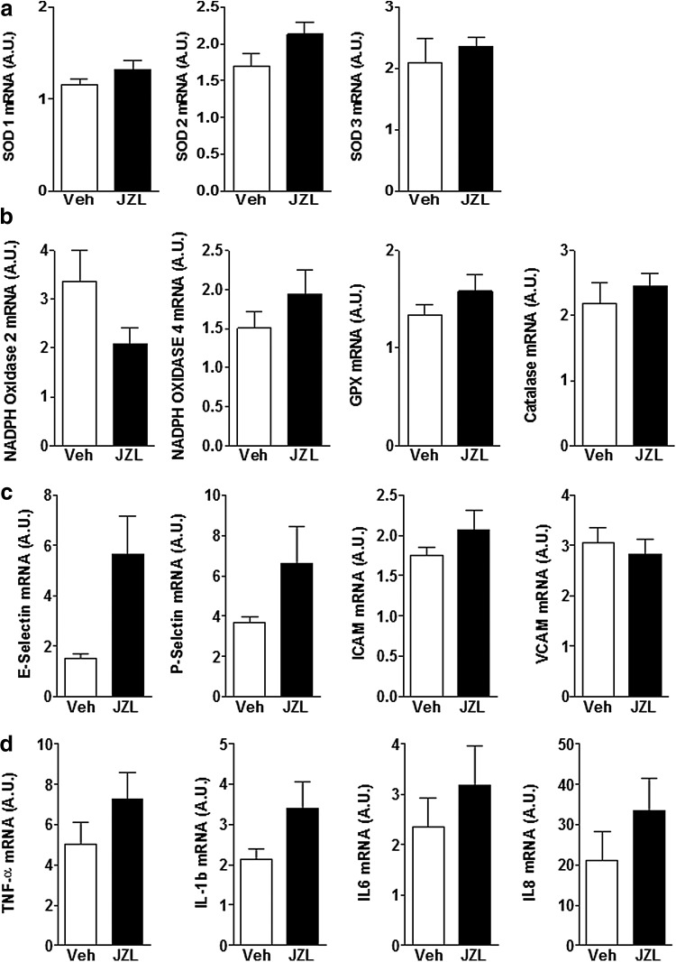 Renal expression of markers of oxidative stress pathway (a, b) and inflammation (c, d) did not change 24 h post-IRI in animals treated with JZL184 2 h before induction of IR compared to vehicle-treated controls. Data are expressed as mean±SEM, n=6–10 animals in each group.