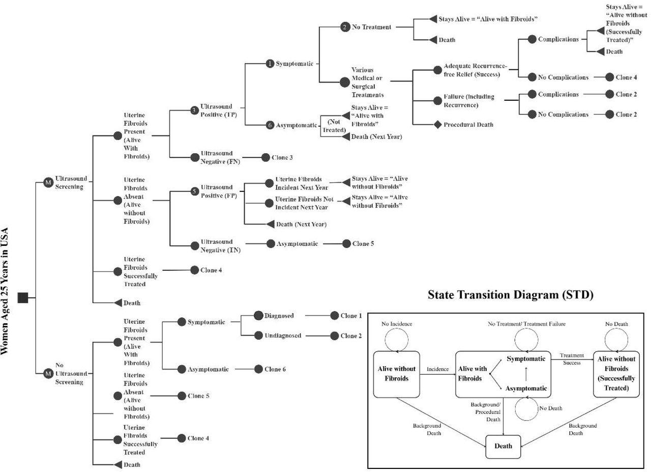 Markov Model of Ultrasound Screening for Uterine Fibroids in the United StatesHealth states in the model are shown in the state transition diagram which are ‘Fibroids absent’, ‘Fibroids present’, ‘Fibroids treated’, and ‘Death’. Over the course of 30 years of time horizon (25 to 54 years of age), transitions between one health state and another occurred every year, which are indicated by pointing arrowheads in the inset. ‘Women aged 25 in the U.S.’ was the ‘Decision Node’ representing two options to be compared. ‘Ultrasound screening’ and ‘No ultrasound screening’ were the Markov nodes. The diamond nodes were terminal nodes, which represented the end of the respective cycle, where transitions between health states occurred (‘jumped’ back to one of the branches of the Markov node). ‘Clone’ means that the node had similar further branches like the Master Node (numbered); where the probabilities and pay-offs (costs and utilities) might be the same or different as applicable. In the Markov model, women transitioned between four health states: Alive without Fibroids (“Uterine Fibroids Absent” arm), Alive with Fibroids (Symptomatic or Asymptomatic) (“Uterine Fibroids Present” arm), Alive without Fibroids (Successfully Treated) (“Uterine Fibroids Successfully Treated” arm), and Death. If a woman was diagnosed to have symptomatic fibroids, they were treated (or no treatment) based on their choice, resulting in (i) treatment success (recurrence-free following treatment, moving to the “Uterine Fibroids Successfully Treated” arm), (ii) failure (accounting persistence of symptomatic fibroids due to failure of treatment itself as well as for recurrence, returning to the “Uterine Fibroids Present” arm), or (iii) procedural death. Women with asymptomatic fibroids were not treated in the decision tree and were retained in the “Uterine Fibroids Present” arm, while still allowing for the possibility that these fibroids could become symptomatic in future cycles, at which point treatment decisions applied. Whereas, in the No Ultrasound Screening strategy, only the women diagnosed after being symptomatic were treated, with following branches similar to the Ultrasound Screening strategy.Abbreviations: TP = True Positive, FN = False Negative, FP = False Positive, TN = True Negative