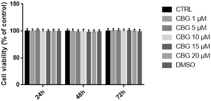 Evaluation of possible effects of CBG at concentrations of 1, 5, 10, 15, and 20 µM, and DMSO on NSC-34 cells viability at 24 h, 48 h, and 72 h. No significant difference in cell viability was detected.