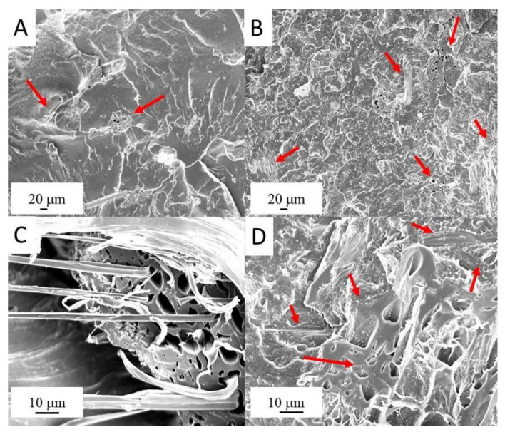SEM micrographs of EVA/HFB 95/5 (A,C) and EVA/HFB 60/40 (B,D) cryogenically fracture surfaces.