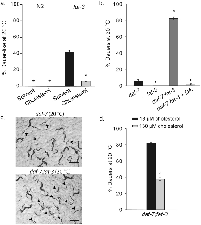 PUFA-deficient mutants fat-3 and daf-7;fat-3 exhibit a dauer-like or a Daf-c phenotype, respectively. (a) Unlike wild-type worms, fat-3(ok1126) mutants are incapable of synthesizing PUFAs and undergo a dauer-like arrest in the first generation when grown in cholesterol-free media. One-way analysis of variance p < 0.001. All pairwise multiple comparison procedures (Holm-Sidak method), (*) indicates statistically significant difference with fat-3/solvent, p < 0.001. Bars represent mean values and error bars represent standard errors. The number of independent experiments is n = 3 for all conditions. (b) While daf-7 worms form ~10% dauers at 20 ºC, fat-3 worms do not form dauers. In stark contrast, double mutant daf-7;fat-3 forms ~85% dauers at 20 ºC, and addition of DA suppresses dauer formation almost completely. One-way analysis of variance p < 0.001. All pairwise multiple comparison procedures (Holm-Sidak method): (*) indicates statistically significant difference with daf-7, p < 0.001. Bars represent mean values and error bars represent standard errors. The number of independent experiments is n = 5 for daf-7, and n = 13 for fat-3 and daf-7; fat-3. [DA] = 90 nM. (c) Introducing the fat-3 null-mutation into background daf-7 increases dauer formation significantly (dauers are indicated with arrowheads). Representative images are taken from at least three experiments. Scale bars, 0.5 mm. (d) daf-7;fat-3 dauers can partly bypass dauer arrest if grown in excess cholesterol (130 µM). (*) indicates statistically significant difference to control plates (13 µM cholesterol). t-test, p < 0.001. Bars represent mean values and error bars represent standard errors. The number of independent experiments is n = 14 for daf-7;fat-3 at 13 µM cholesterol, and n = 2 for daf-7;fat-3 at 130 µM cholesterol.