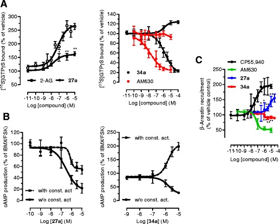 Modulation of CB2 receptor activity by 27a and 34a. (A) [35S]GTPγS binding assay performed in CHO-K1 membranes containing hCB2 receptors, in the presence of different concentrations of 27a and 34a. The CB2 inverse agonist AM630 is reported as positive control (red line). Experiments were performed in the presence (dotted line) and in the absence (solid line) of constitutive activity of the receptors. (B) Inhibition of forskolin-induced cAMP formation by 27a and 34a in CHO-hCB2 cells transfected with pGloSensorTM 22-F plasmid. The experiments were performed in the presence (dotted line) and in the absence (solid line) of constitutive activity. (C) β-arrestin recruitment induced by increasing concentrations of 27a and 34a, measured in PathHunter® β-arrestin cells (CHO-K1-HOMSA-CNR2). * P < 0.05, ** P < 0.01 27a vs. 2-AG (Figure 8A); * P < 0.05, ** P < 0.01 27a and 34a vs. CP55, 940 (Figure 8C).