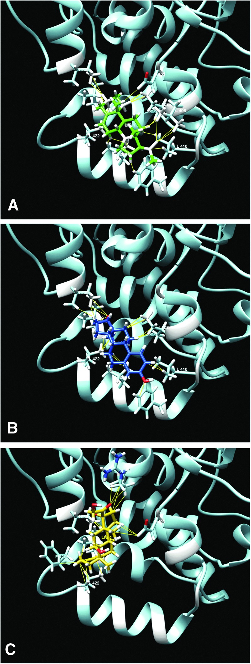 (A) Pregnenolone (green), (B) estradiol (blue), and (C) hydrocortisone (orange) best BMs for rFAAH crystal structure 2VYA.pdb in the pocket situated in the hydrophobic region by the two helices α-18 and α-19. Highlighted are the residues involved in the binding. F432, crucial for substrate access, is not directly involved in the binding.