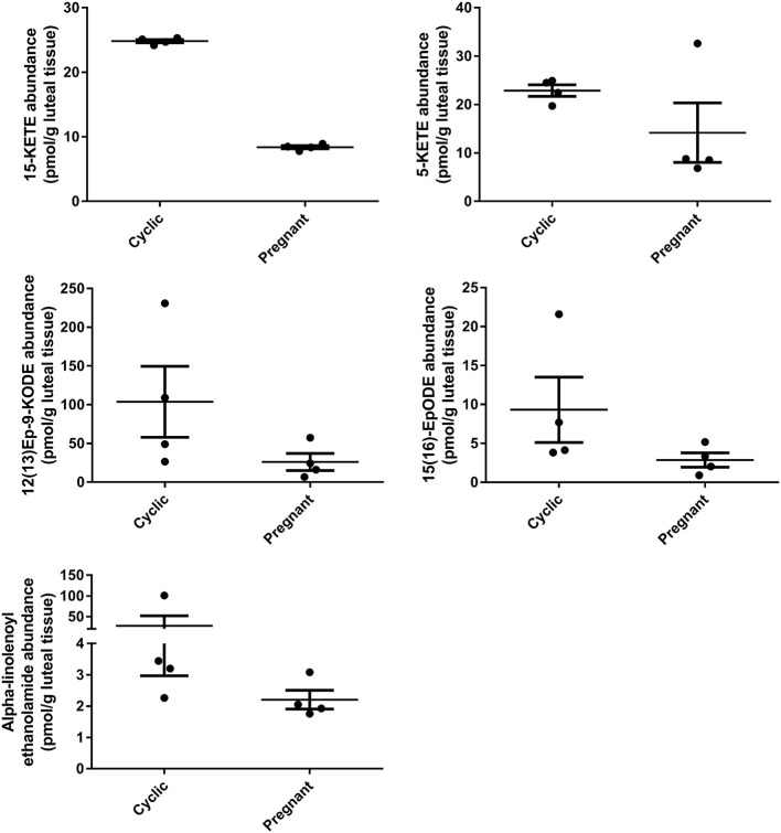 Luteal metabolomics during maternal recognition of pregnancy (N = 4/group). Lipids that changed (15-KETE; P < 0.05) or tended to change (P < 0.1) during maternal recognition of pregnancy.