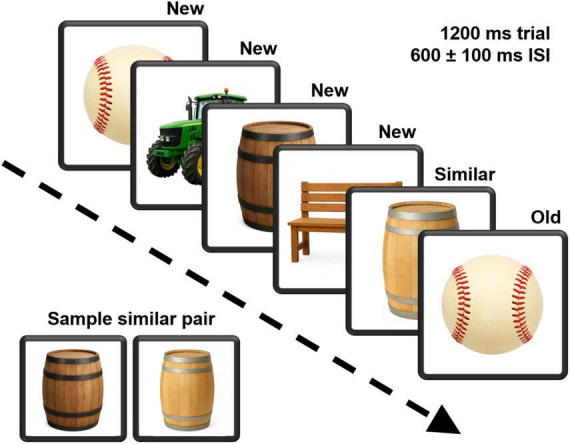 A diagram showing a sequence of images: a baseball labeled “New,” a tractor as “New,” a barrel as “New,” a bench as “New,” another barrel as “Similar,” and a final baseball as “Old.” The sequence duration is marked as “1200 ms trial” and “600 ± 100 ms ISI.” A sample similar pair of barrels is displayed at the bottom.