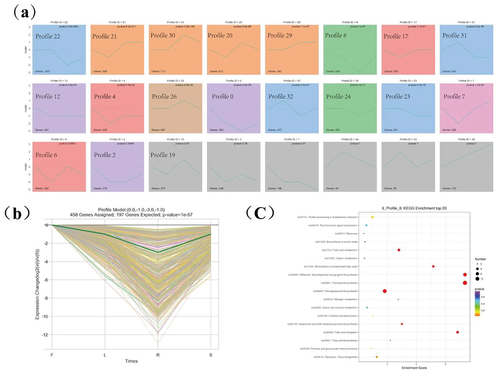 Panel (a) displays twenty gene expression profile plots, each color-coded and labeled with a profile number, p-value, and number of genes assigned, showing expression trends. Panel (b) contains a line graph of gene expression changes over four time points for profile model 0.0, -1.0, -3.0, -1.0, with individual colored gene trajectories and summary statistics above the graph. Panel (c) presents a KEGG enrichment bubble chart for Profile 8, showing the top twenty pathways with axes for enrichment score and pathway names, bubble size indicating gene count, and color scale for p-values.