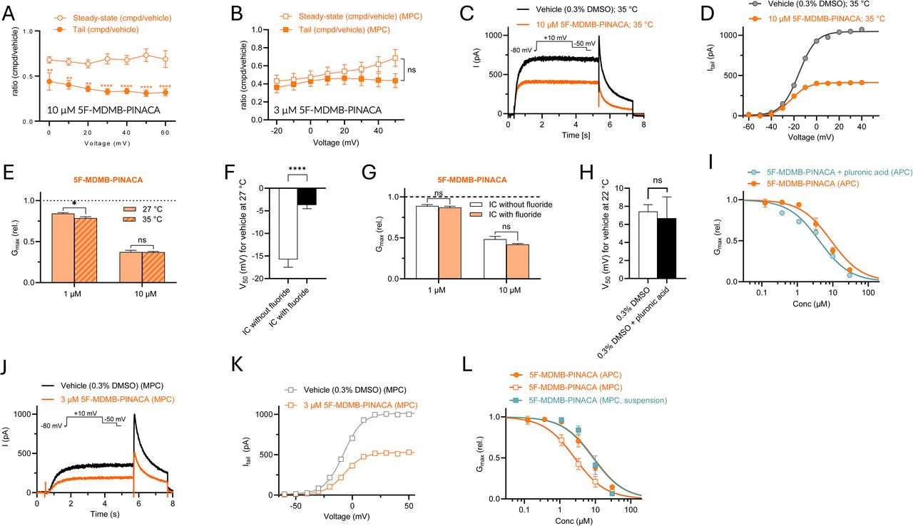 Electrophysiological characterization of 5F-MDMB-PINACA inhibition on wild type (WT) hERG highlight aspects impacting effects. (A-B)Average ratio of 5F-MDMB-PINACA effects on steady-state current compared to tail current, collected using 10 µM 5F-MDMB-PINACA for APC (A) and 3 µM 5F-MDMB-PINACA for MPC (B). Statistics denote difference between effects on steady-state current compared to tail current, compared using two-way ANOVA together with Šídák’s multiple comparisons test, p < 0.05 (*). n = 5-9 for APC, n = 13 for MPC. (C-D) Representative effect of 10 µM 5F-MDMB-PINACA on hERG at 35°C, collected using APC and the pulse protocol shown as insert (C), with corresponding G(V) curve (D). (E) Average effect of indicated concentrations of 5F-MDMB-PINACA on hERG at 27°C or 35°C, collected using APC. Data are presented as mean ± SEM. Statistical comparisons indicate differences between temperatures at a given concentration, mixed-effect analysis with Šídák’s multiple comparisons test, (p < 0.05), n = 3–9. (F) Average voltage-dependence of activation (V50) for hERG at 27°C with or without fluoride in the intracellular solution. Data are presented as mean ± SEM. Statistical comparisons indicate difference between with or without fluoride in the intracellular solution, unpaired t-test, p < 0.001 (***), n = 12-13. (G) Average effect of indicated concentrations of 5F-MDMB-PINACA on hERG at 27°C, with or without fluoride in the intracellular solution, collected using APC. Data are presented as mean ± SEM. Statistical comparisons indicate differences between with or without fluoride in the intracellular solution, at a given concentration, mixed-effect analysis with Šídák’s multiple comparisons test, (p > 0.05), n = 7–11. (H) Average voltage-dependence of activation (V50) for hERG at 22°C with or without pluronic acid in the vehicle. Data are presented as mean ± SEM. Statistical comparisons indicate difference between with or without pluronic acid in the vehicle, unpaired t-test, p > 0.05, n = 5. (I) Concentration-response relationship for the Gmax (rel) effect of 5F-MDMB-PINACA on hERG without pluronic acid (orange) and with pluronic acid (teal), collected using APC. Best fits for Gmax (rel) yielded IC50 values of 9.0 µM (n = 4-17) without pluronic acid and 4.2 µM (n = 10-11) with pluronic acid. The IC50 values were significantly different (p < 0.0001) using Extra sum-of-squares F-test. For both with and without pluronic acid, the maximal inhibition approached full inhibition. (J-K) Representative effect of 3 µM 5F-MDMB-PINACA on hERG at 22°C, collected using MPC and the pulse protocol shown as insert (J), with corresponding G(V) curve (K). (L) Concentration-response relationship for the Gmax (rel) effect of 5F-MDMB-PINACA on hERG collected using APC with cells in suspension (orange, filled circles); using MPC with attached cells (orange, unfilled squares); and using MPC with cells in suspension (teal, filled squares). Best fits for Gmax (rel) yielded IC50 values of 9.0 µM (n = 4-17) for APC with cells in suspension; 2.6 µM (n = 5-13) for MPC with attached cells; and 8.6 µM (n = 2-3) for MPC with cells in suspension. The IC50 values for cells in suspension recorded using APC and attached cells recorded using MPC were significantly different (p = 0.0001). For cells in suspension, the IC50 values for recordings using APC and MPC were not significantly different (p = 0.08). For recordings using MPC, the IC50 values for attached cells and cells in suspension were significantly different (p = 0.0093). For all three, the maximal inhibition approached full inhibition. Statistical calculations were done using Extra sum-of-squares F-test.