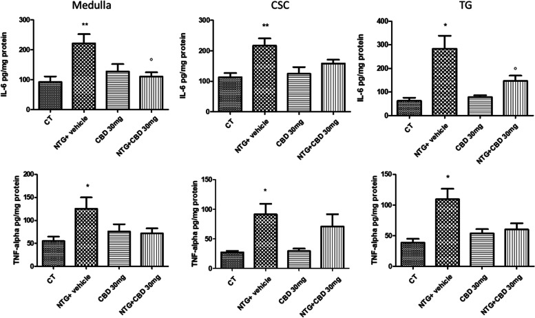 IL-6 protein and TNF-alpha protein levels (expressed as pg/mg of protein) in medulla, cervical spinal cord (CSC) and trigeminal ganglion (TG) in chronic conditions. Protein levels in tissues are expressed as pg/mg of protein. Data were normally distributed and were analyzed using one-way ANOVA followed by Tukey’s multiple comparisons test. *p < 0.05 and ** p < 0.01 vs. CT and CBD 30 mg; °p < 0.05 vs. NTG + Vehicle. Data are expressed as mean ± SEM, N = 7 per group
