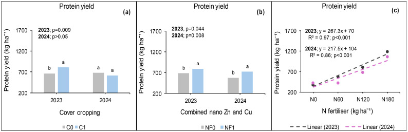 Three-panel chart showing protein yield. Panel (a): Bar graph of cover cropping effects, with significant increase in 2023 (p=0.009) but not 2024 (p>0.05). Panel (b): Bar graph of combined nano Zn and Cu effects, with significant increase in both 2023 (p=0.044) and 2024 (p=0.008). Panel (c): Scatter plot with linear regressions showing N fertilizer effects, with strong correlations for 2023 (R²=0.97) and 2024 (R²=0.86), both p<0.001.