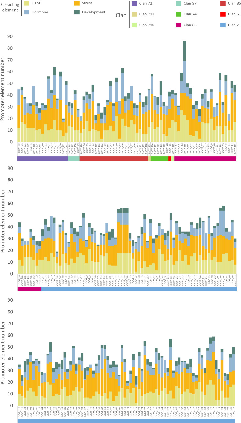 Distribution of cis-acting regulatory elements in the promoter regions of C. sativa cytochrome P450 genes across nine clans. Predicted cis-acting regulatory elements were categorized into four different groups: developmental, stress-responsive, hormone-responsive, and light-responsive elements.