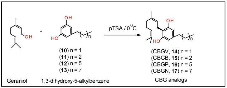Synthesis of CBG analogs, 14–17.