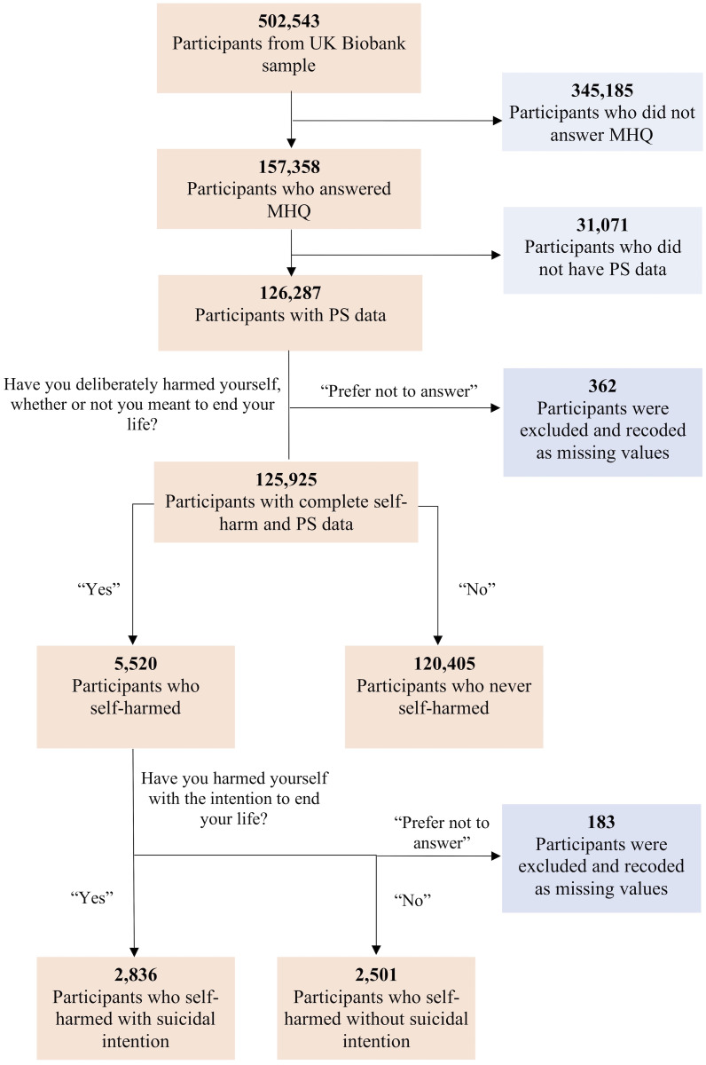 Participant flowchart.MHQ, mental health questionnaire; PS, polygenic score.