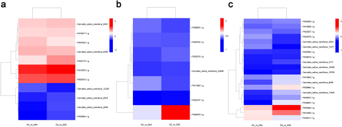 Heatmap of the DEGs in porphyrin and chlorophyll metabolism, photosynthesis-antenna proteins and photosynthesis between D and DS. The expression level changes of genes in each group were described as log2 fold change of FPKM. Colors indicated up- and down-regulated levels of genes. Uniconazole-induced expression patterns of 11 porphyrin and chlorophyll metabolism genes under drought stress (a). Uniconazole-induced expression patterns of 7 photosynthesis-antenna proteins genes under drought stress (b). Uniconazole-induced expression patterns of 20 photosynthesis genes under drought stress (c). D2_vs_DS2 means drought stress for 2 days/drought stress treated with uniconazole for 2 days; D4_vs_DS4 means drought stress for 4 days/drought stress treated with uniconazole for 4 days. The heatmap was constructed using the drawing tools of Biomarker Technologies Co., Ltd. (Beijing, China) (https://international.biocloud.net/zh/software/tools/heatmap/-1/-1).