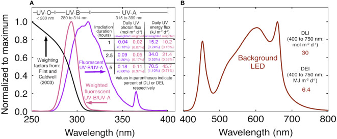 (A) Normalized spectral trace of the UV fluorescent light in this study (purple), biological weighting factors from Flint and Caldwell (2003) (black), biologically effective UV spectral trace (pink) and a summary of the UV treatments. The weighted photon and energy flux were calculated by multiplying the unweighted trace by the weighting factors. Values in purple indicate the unweighted daily UV flux. Values in pink indicate the daily biologically effective UV flux. (B) Normalized spectral trace of the background white+red LEDs and the daily light integral (DLI) and daily energy integral (DEI) during the UV treatments.