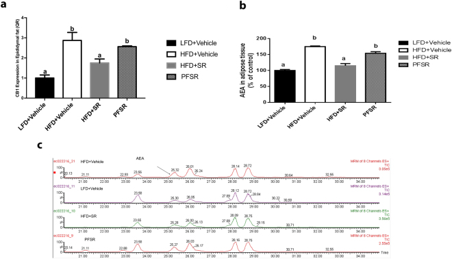 SR141716A attenuates overactivity of endocannabinoid system in diet-induced obesity. Experiments Diet-Induced Obesity (DIO) were set up as described in Fig. 1 legend. (a) Adipose tissue CB1 mRNA levels in SR141716A-treated Diet-Induced Obesity (DIO) (HFD + SR), vehicle-treated Diet-Induced Obesity (DIO) (HFD + Vehicle), lean mice (LFD + Vehicle) and Pair-fed to SR141716A (PFSR) control mice was assessed by RT-PCR. (b) White adipose tissue AEA levels from the same mice (percent of control values) were measured with Liquid Chromatograph/Mass Spectrometry/Mass Spectrometry (LC/MS/MS) (n = 3). N-archidonoylethanolamine (AEA) levels (percent of LFD + Vehicle) were calculated in the epididymal adipose tissue of HFD + SR, HFD + Vehicle, and PFSR (n = 3). Data are shown as mean \documentclass[12pt]{minimal} \usepackage{amsmath} \usepackage{wasysym} \usepackage{amsfonts} \usepackage{amssymb} \usepackage{amsbsy} \usepackage{mathrsfs} \usepackage{upgreek} \setlength{\oddsidemargin}{-69pt} \begin{document}$$\pm $$\end{document}± SD. Data with different superscript letters are significantly different (P < 0.05) according to post hoc ANOVA one-way statistical analysis.