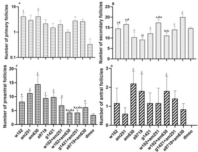 Quantification of (A) primary, (B) secondary,(C) preantral, and (D) antral follicles across different experimental groups of NMRI mice after cannabinoid agonist and antagonist administration