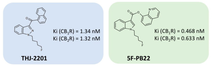 Structures of THJ-2201 and 5F-PB22 and respective binding affinities to the cannabinoid receptors (CBRs) type 1 and 2, according to Hess et al. [54].