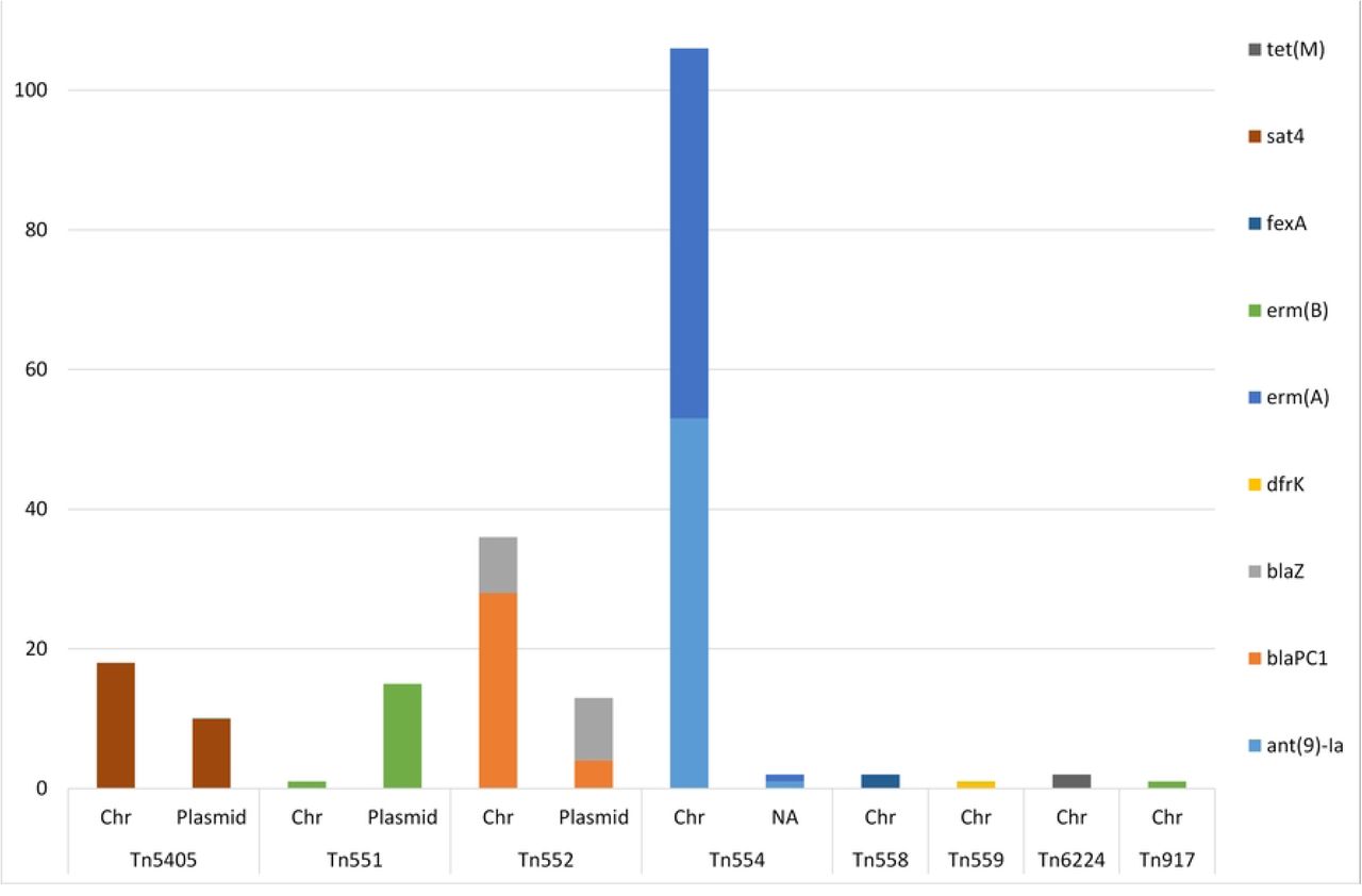 AMR genes identified in composite transposons in sequenced MDR-MRSA strains from Norway.Genomic location indicated by chromosome (Chr) or plasmid.