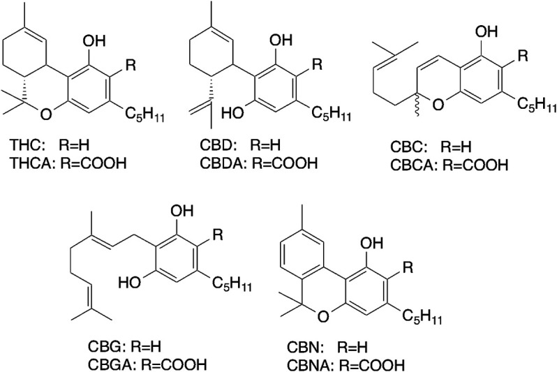 Structures of major cannabinoids.