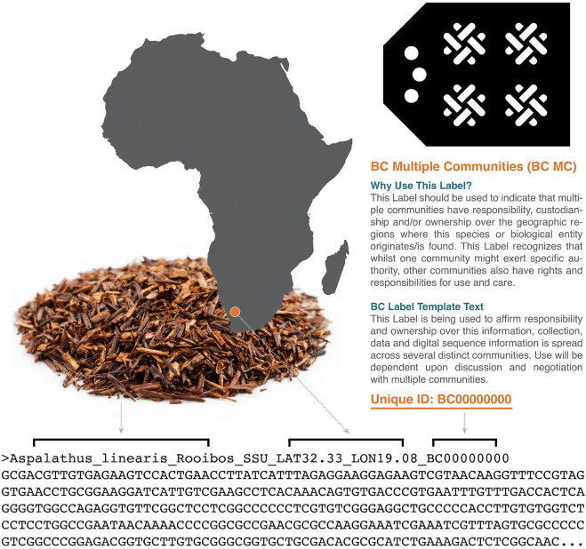 Example FASTA sequence with BC Multiple Communities Label as provenance information included in the header. Provenance information can be appended using the R package enRich (https://github.com/jacobgolan/enRich).