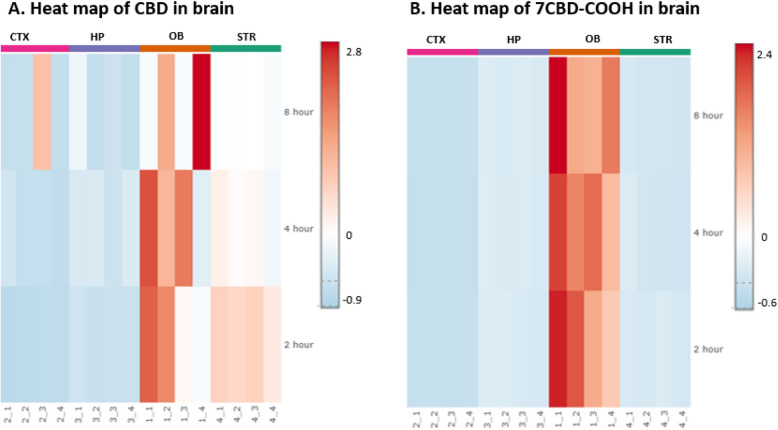 Heat maps showing the relative drug concentration in the hippocampus (HP), corpus striatum (STR), cerebral cortex (CTX), and olfactory bulb (OB) brain regions at 2, 4, and 8 h. The color scale ranges from blue (representing the lowest detected values) to red (representing the highest detected levels). This relative scale, with negative values indicating concentrations below the average for: A CBD (B) 7-Carboxy cannabidiol (7CBD-COOH)