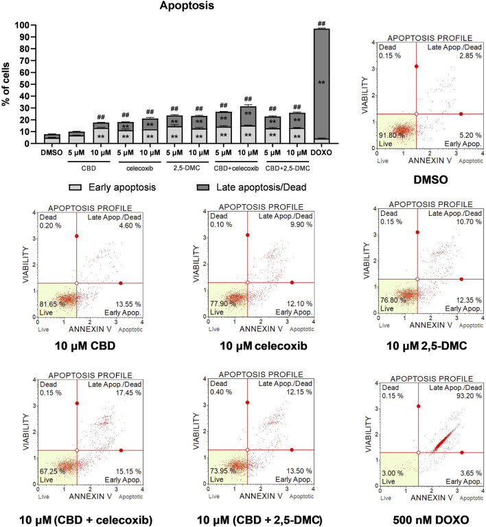 Bar chart and flow cytometry plots illustrate the percentage of cells undergoing early and late apoptosis under different treatments: DMSO, CBD, celecoxib, 2,5-DMC, CBD with celecoxib, CBD with 2,5-DMC, and DOXO. The bar chart shows a significant increase in late apoptosis/dead cells with DOXO. The flow cytometry plots display viability and annexin V levels, with percentages of live, early apoptosis, late apoptosis, and dead cells.