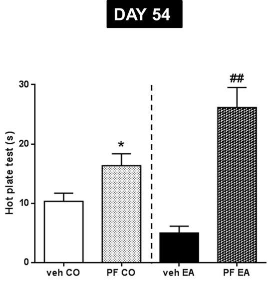 Pain threshold by hot plate test was performed during abstinence period (day 54) after repeated PF-3845 (PF, 10 mg/kg, IP) administration. In CO rats, PF treatment reduced pain sensitivity compared to vehicle CO animals (*P < 0.05). A similar effect was observed in EA rats; in fact, PF treatment increased time of reaction to thermal stimulus compared to vehicle EA animals (##P < 0.01). Data are shown as mean ± SEM for all groups (n = 6).