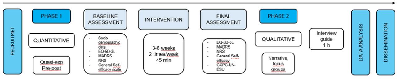 Overall Project Timeline and Phases.