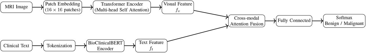 Architecture of the proposed multimodal framework integrating MRI images and clinical text using Vision Transformer and BioClinicalBERT.