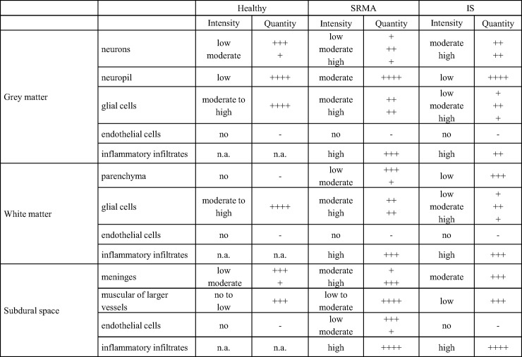 CB2 immunoreaction in the spinal cord of dogs with SRMA, IS and healthy controls.SRMA: steroid-responsive meningitis-arteritis; IS: intraspinal spirocercosis. Intensity: no, low, moderate, high. Quantity: -, no; +, < 10%; ++, 10–50%; +++, 50–90%, and ++++, >90% immunopositive cells; n.a. not applicable.