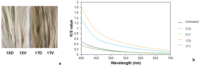 (a) Pre-mordanted samples and (b) the K/S values of the untreated and pre-mordanted samples.