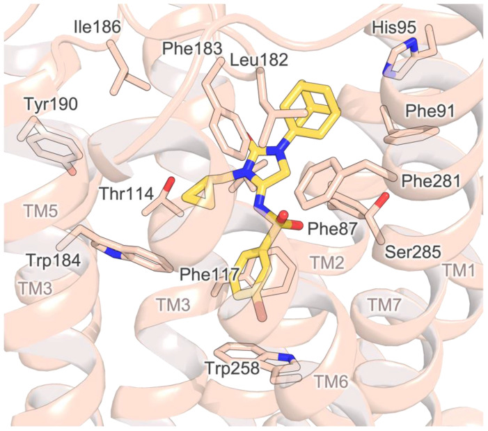 Docking poses of compound 12e in the antagonist conformation of the hCB2 receptor (PDB ID 5ZTY). Residues lining the binding site are represented as capped sticks and labeled; transmembrane helices are numbered as TM1-7. Hydrogen bonds are represented as black dashed lines.