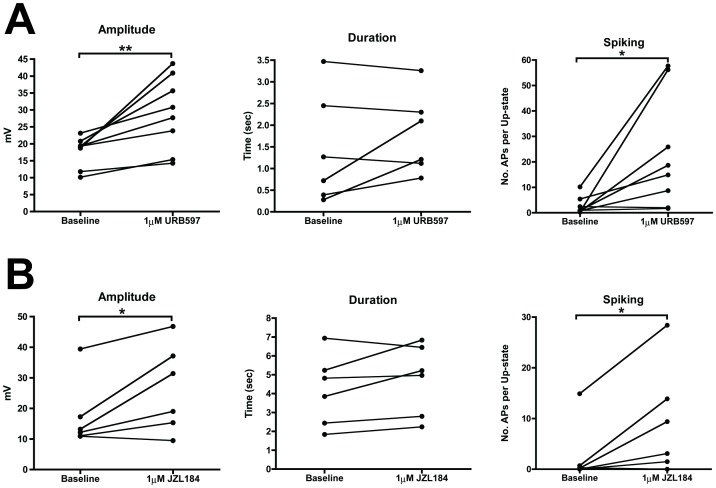 Selectively increasing either AEA or 2-AG by inhibiting FAAH or MAGL, respectively, increases up-state amplitude and spiking.A, effect of FAAH inhibition with URB597 (1 µM) on up-state parameters. B, effect of MAGL inhibition with JZL184 (1 µM) on up-state parameters. Connected points represent data from the same the cell during baseline and in the presence of the drug. Symbols: *p<0.05 and **p<0.01.