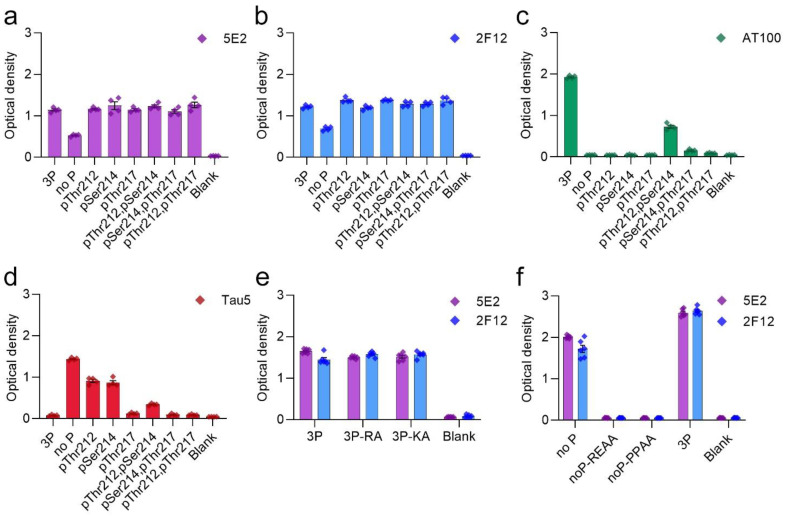 Epitope characterization of 5E2 and 2F12 antibodies with phospho- and mutated peptides by ELISA. Synthesized peptides are described in Table 1. Antibody binding of 5E2 (a), 2F12 (b), AT100 (c), and Tau5 (d) were investigated by ELISA as with immunization peptide (3P), phospho-peptide permutations, and non-phosphorylated tau peptide (no P). Further epitope characterization of 5E2 and 2F12 antibodies was conducted using alanine mutated peptides (e,f). Numbering of amino acid residues is according to the longest tau isoform present in the CNS.