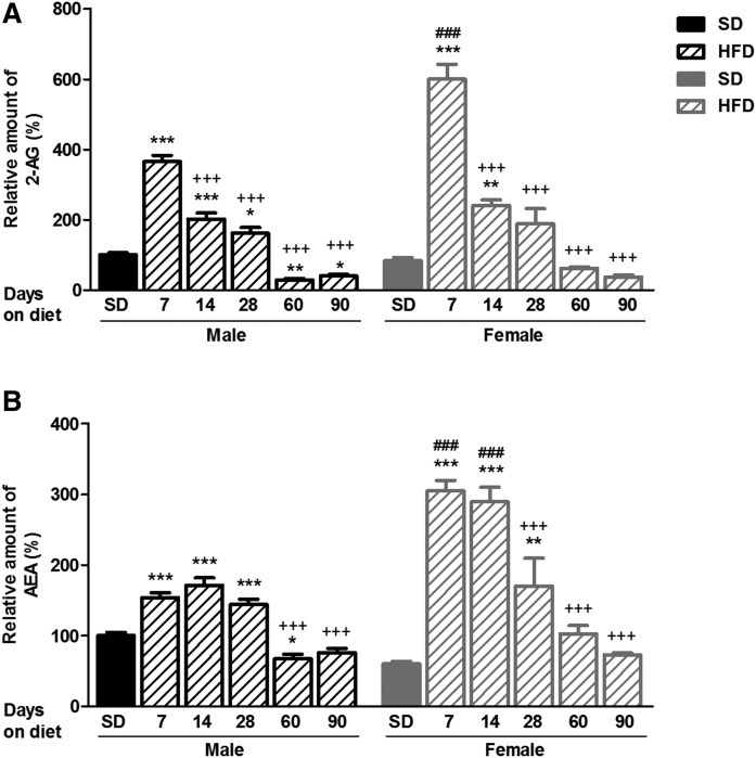 Time profile of hypothalamic eCB levels during the development of DIO in male and female mice. A: Relative amount of 2-AG to male SD. B: Relative amount of AEA to male SD. Statistical significance was determined by ANOVA and Bonferroni posttest. Error bars represent SEM (n = 8–10). *P < 0.05; **P < 0.01; ***P < 0.001 versus its corresponding SD; ###P < 0.001 versus male under the same diet conditions; +++P < 0.001 versus same gender fed an HFD for 7 days.