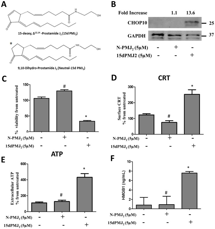 The α,β-unsaturated carbonyl moiety in 15dPMJ2 regulates DAMP activation.(A) Chemical structures of 15dPMJ2 and neutral-15dPMJ2 (N-PMJ2). (B) B16F10 cells were treated with 5 μM N-PMJ2, 5 μM 15dPMJ2, or vehicle (0.1% DMSO) for 6 hours. The levels of CHOP10 protein expression were examined by conducting Western blot analysis. Band intensities were quantified using ImageJ software. The fold increase in protein levels was determined by comparing the band intensity of samples to vehicle-treated cells after normalizing the values to GAPDH levels. (C–F) B16F10 cells were treated with 5 μM N-PMJ2, 5 μM 15dPMJ2, or vehicle. (C) Cell viability was examined by conducting MTS experiments after 24 hours of treatment. (D) The cell surface expression of CRT was measured by performing flow cytometric analysis after 2 hours of treatment. (E) Extracellular ATP levels were measured by using the CellTiter-Glo 2.0 kit after 4 hours of treatment. (F) Extracellular HMGB1 was measured by using HMGB1 ELISA kits after 24 hours of treatment. (C–E) Sample values are displayed as the percentage from untreated cells (% from untreated). Data represent the mean ± SEM of three independent experiments. * p < 0.05, sample compared to vehicle-treated cells; # p < 0.05, sample compared to 15dPMJ2.