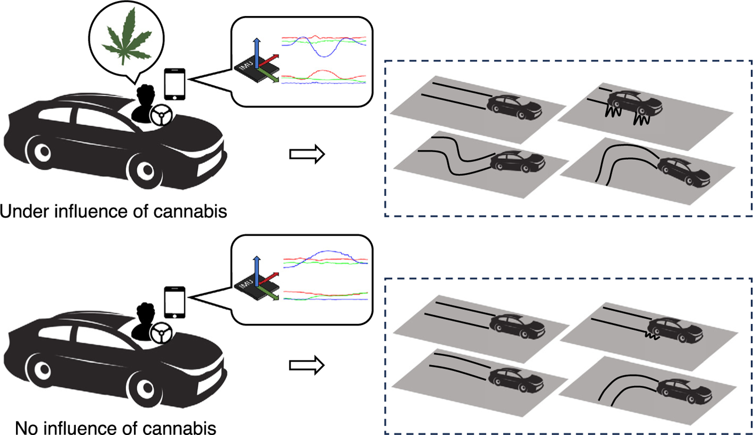Overview of driving behavior study under the influence of cannabis.