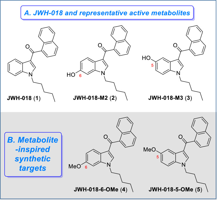 Structures of JWH-018, representative active metabolites, and synthetic targets in this study. Chemical structures of JWH-018, its representative active metabolites, and the metabolite-inspired synthetic targets investigated in this study.