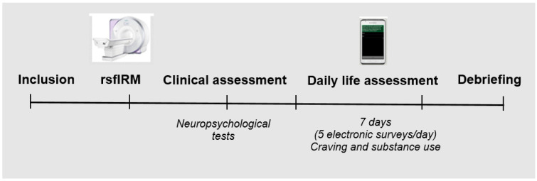 Overview of the method and procedures of the study.
