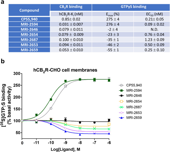 Affinity and functional effects of novel MRI ligands on CB2 receptor in CHO cell membranes. (a) binding affinities (nM) and Emax (% and nM) of [35S]-GTPγS binding to CHO membranes (PerkinElmer, Cat. No ES111-M400UA) expressing hCB2. (b) [35S]-GTPγS binding to membranes as a factor of ligand concentration. Binding of [35S]-GTPγS was determined as described in “Methods”. Non-specific binding was defined as 0% activity. The assay of GTPγS non-specific binding contains non-radioactive GTPγS.