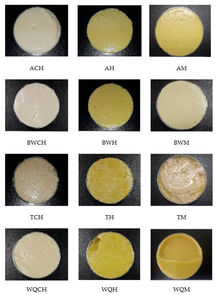 Appearance of the twelve oil-in-water GE samples developed. ACH: amaranth flour with chia oil; AH: amaranth flour with hemp oil; AM: amaranth flour with a blend of both chia and hemp oils; BWCH: buckwheat flour with chia oil; BWH: buckwheat flour with hemp oil; BWM: buckwheat flour with a mix of both oils; TCH: teff flour with chia oil; TH: teff flour with hemp oil; TM: teff flour with a mix of both oils; WQCH: white quinoa flour with chia oil; WQH: white quinoa flour with hemp oil; WQM: white quinoa with a mix of both oils.