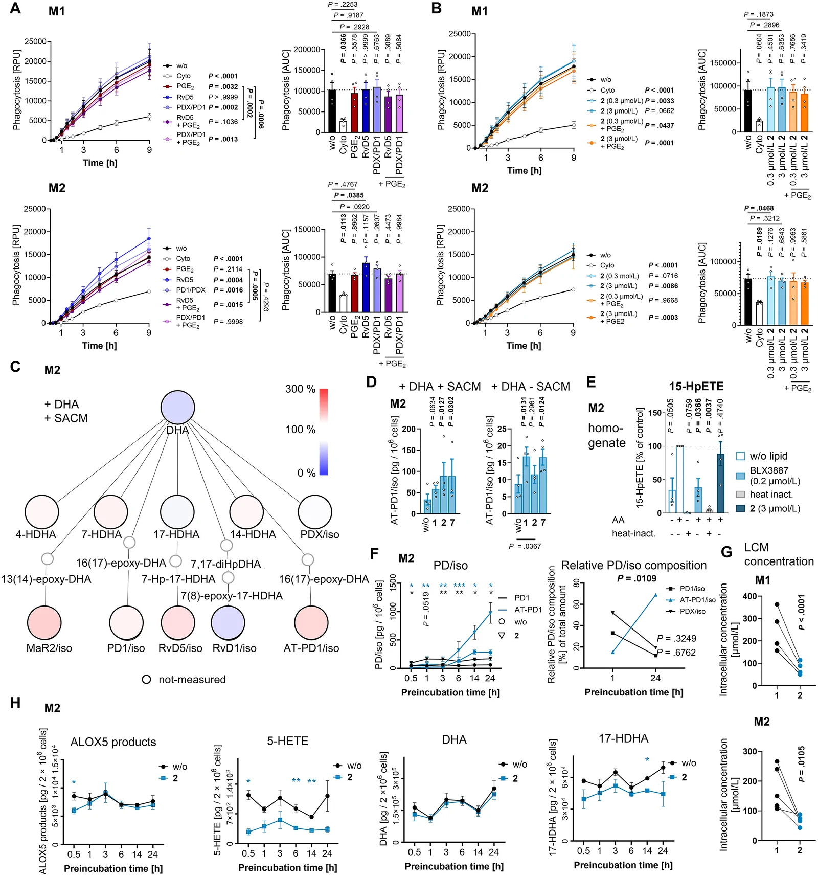Functional, mechanistic and kinetic studies on the induction of PD formation addressing the impact on phagocytic activity, the role of DHA availability, ALOX15 activation, macrophage activation, and intracellular LCM accumulation. (A, B) Monocyte-derived macrophages (3 × 104) were polarized into M1-like and M2-like subtypes and pre-incubated for 15 min (A) or 3 h (B) with medium alone (‘w/o’) or medium containing cytochalasin D (2 μmol/L), PGE2 (10 μmol/L), RvD5 (30 nmol/L), PD1 plus PDX (15 nmol/L, each), LCM 2 (0.3 or 3 μmol/L), or combinations of RvD5, PD1/PDX, or LCM 2 and PGE2. Phagocytosis of fluorescent Staphylococcus aureus bioparticles was monitored over 9 h; AUC, area under the curve. (C, D) M2-like macrophages (2 × 106) were pre-incubated with vehicle (DMSO, 0.1%, ‘w/o’) or LCMs (at 3 μmol/L) for 15 min and then either supplemented with 20 μmol/L docosahexaenoic acid (DHA) before being stimulated with SACM (1%) for 180 min (‘+ SACM’; C, D) or left untreated after DHA supplementation for a total of 195 min (‘- SACM’; D). (C) Pathway diagram showing percentage changes in DHA-derived lipid mediator formation upon treatment with LCM 2 (3 μmol/L) relative to vehicle. (D) Levels of AT-PD1/iso. (E) Homogenates of 2 × 106 M2-like macrophages were incubated with vehicle (DMSO, 0.1%), 2 (3 μmol/L), or BLX3887 (0.2 μmol/L) for 15 min and then treated with AA (20 μmol/L) for 180 min or left unchallenged. Heat-inactivated homogenates (‘heat-inact.’) (95 °C, 5 min) were used as control. Data for controls are identical to Waltl et al160. (F, H) M2-like macrophages (2 × 106 in culture medium) were pre-incubated with LCM 2 (3 μmol/L) or vehicle (DMSO, 0.1%) for 0.5 to 24 h before being stimulated with SACM (1%) for 180 min. (D) Temporal formation of PD1/iso and aspirin-triggered (AT)-PD1/iso for 2- vs. vehicle-treated cells (left panel), and changes in the relative composition of PD species between 1 and 24 h of treatment with 2 (right panel). (G) Intracellular concentrations of 1 and 2 upon exposure to 0.3 μmol/L of the compounds for 20 min, assuming a spherical cell shape (diameter M1: 12 μmol/L; diameter M2: 14 μmol/L). Independent experiments are connected by lines. (H) Time-dependent changes of ALOX5 products, 5-HETE, DHA, and 17-hydroxydocosahexaenoic acid (HDHA) for 2- vs. vehicle-treated cells. Mean (C) or mean ± SEM (A, B, F–H) and single data (A, B, D, E) from n = 3–4 independent experiments. P values vs. vehicle control, as indicated by lines (A, B), DHA ± SACM-treated vehicle control (D), AA-treated vehicle control (E), 1 h of incubation (F, right panel), and 1-treated cells (G) or ∗P < 0.05, ∗∗P < 0.01, ∗∗∗P < 0.001 vs. vehicle treated cells at corresponding time points (F, left panel, H); repeated measures two-way ANOVAs with Geisser Greenhouse correction and Tukey’s post hoc tests (A, B; line charts), repeated measures one-way ANOVAs with Geisser Greenhouse correction and Dunnett’s post hoc tests (A, B; bar charts), repeated measures one-way ANOVAs with Dunnett’s post hoc tests of log data (D) or two-tailed paired Student t test (indicated by lines in the bar charts of A and B; E–H).