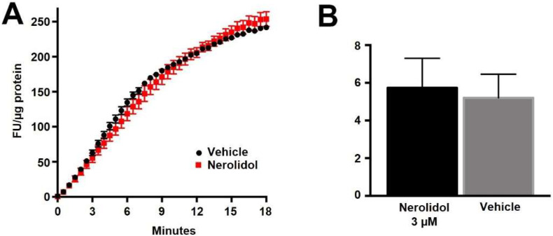 Nerolidol does not alter the basal activity of DAGLα. (A) Sample Enzchek lipase activity time course in the presence of vehicle (black) or nerolidol (3 μM, red) in DAGLα-transfected CHO cells. (B) Summarized results show lipase activity in DAGLα-expressing CHO cells in response to vehicle or nerolidol (n = 3).