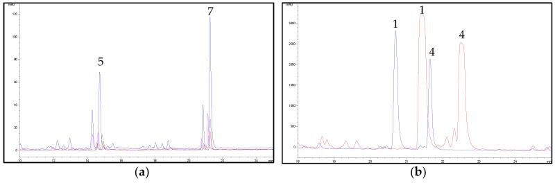 (a) Effect of different pre-maceration procedures on flavonoid extraction from hemp (sample C6). Chromatograms obtained at 342 nm with pre-maceration with n-hexane (3x) (blue line), with n-hexane (2x) + dichloromethane (DCM) (1x) (red line), with n-hexane (2x) + ethyl ether (1x) (green line), with n-hexane (2x) + toluene (1x) (pink line). For peak numbering, see Table 1. (b) Effect of pre-maceration with n-hexane on cannabinoid removal from hemp (sample C6). Chromatograms obtained at 210 nm with pre-maceration with n-hexane (3x) (blue line) and without pre-maceration (red line). For peak numbering, see Table 1.