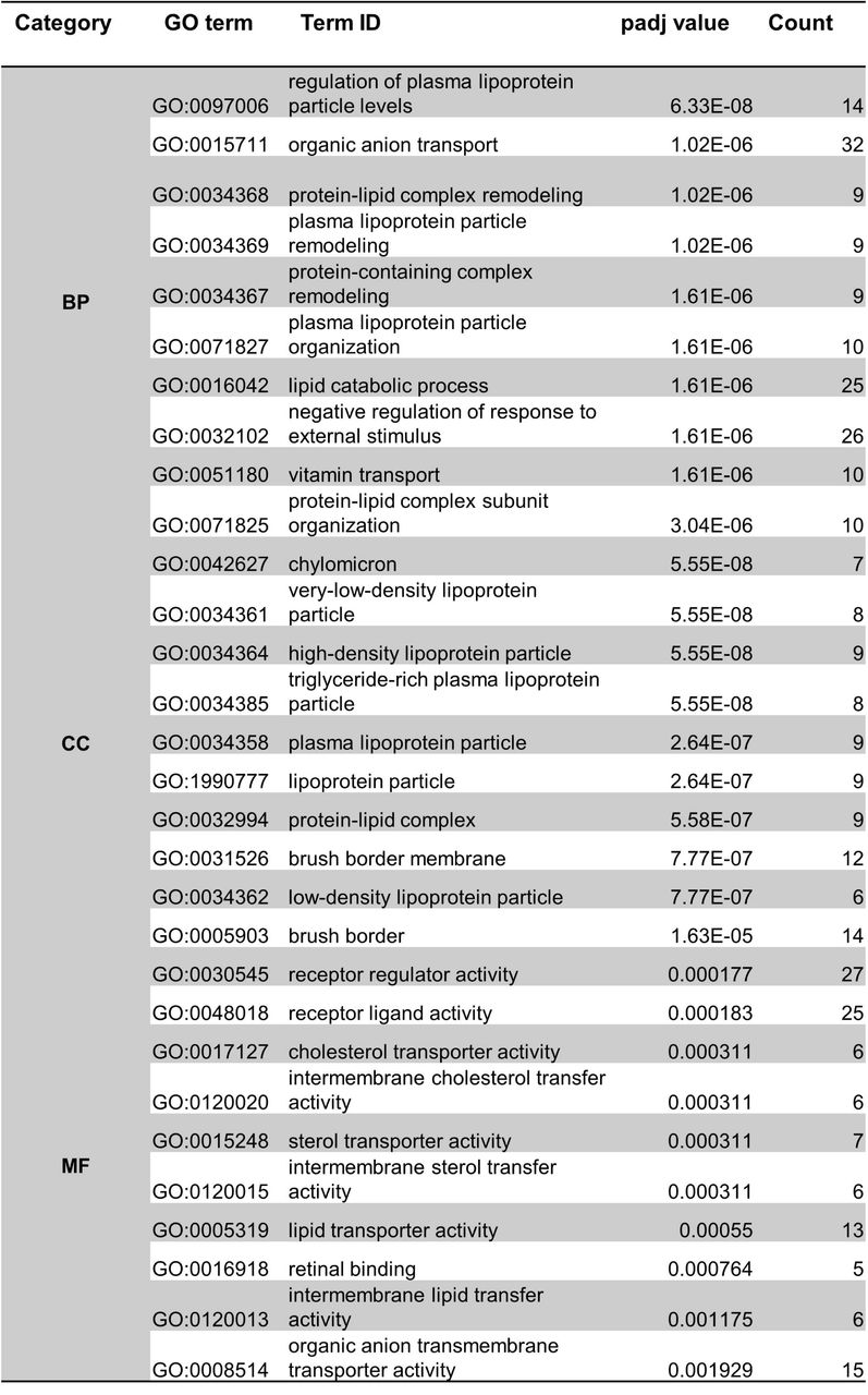 Top 10 GO terms enriched in THC placentas. The top 10 GO terms separated by category; Biological Process (BP), Molecular Function (MF), and Cellular Component (CC). Count refers to the number of DEGs that are annotated to each specific GO term. A comprehensive list of all significantly enriched GO terms can be found in Supplemental File 3.
