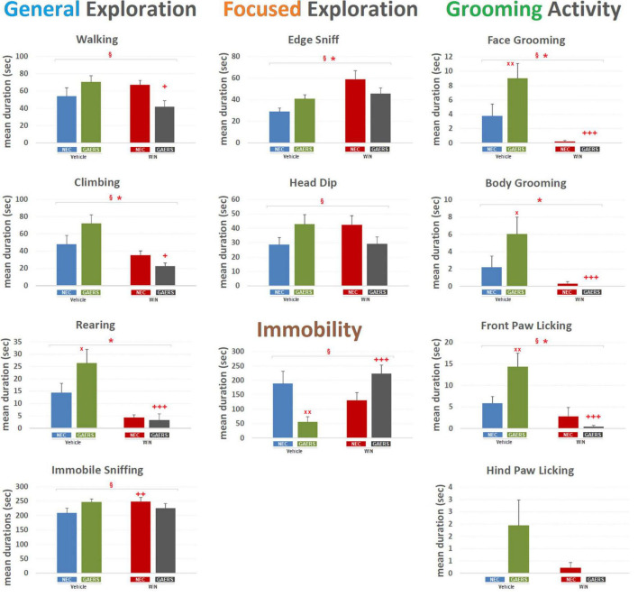 Effect of WIN 55,212-2 and its vehicle on the duration of different behaviors of GAERS and NEC rats. Administration of WIN 55,212-2 (WIN; 2 mg/kg, IP) and its vehicle affected the mean duration ± SEM of several behaviors of GAERS and NEC rats detected during the 10 min of the hole-board test. Mean durations (sec) ± SEM of all the behavioral components of the behavioral repertoire. § = significant (p < 0.05) interaction between factors (strain x treatment, two-way ANOVA); * = significant (p < 0.05) main effect of pharmacological treatment (WIN vs. Vehicle, two-way ANOVA). x = significant difference between GAERS Vehicle vs. NEC Vehicle (Fisher’s LSD post hoc test for multiple comparisons). + = significant difference between GAERS WIN vs. GAERS Vehicle or between NEC WIN vs. NEC Vehicle (Fisher’s LSD post hoc test for multiple comparisons). x = p < 0.05, xx = p < 0.01; + = p < 0.05, ++ = p < 0.01, ++ + = p < 0.001. Data obtained from 15 rats in each group.
